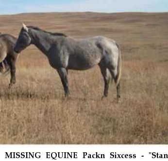 MISSING EQUINE Packn Sixcess - "Stan", Near Ramona, CA, 92065